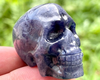 Hand Carved Sodalite Crystal Skull: Home Decor Gift (1.5'')