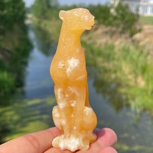 3.9&quot;Natural geode stone cheetah skull,Quartz Crystal leopard,Birthday gift,Crystal skull,Crystal gifts,Hand carved skull,Crystal healing 1pc