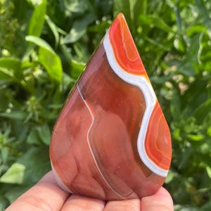 May include: A teardrop-shaped red agate with white and orange banding. The agate is polished and has a smooth surface.