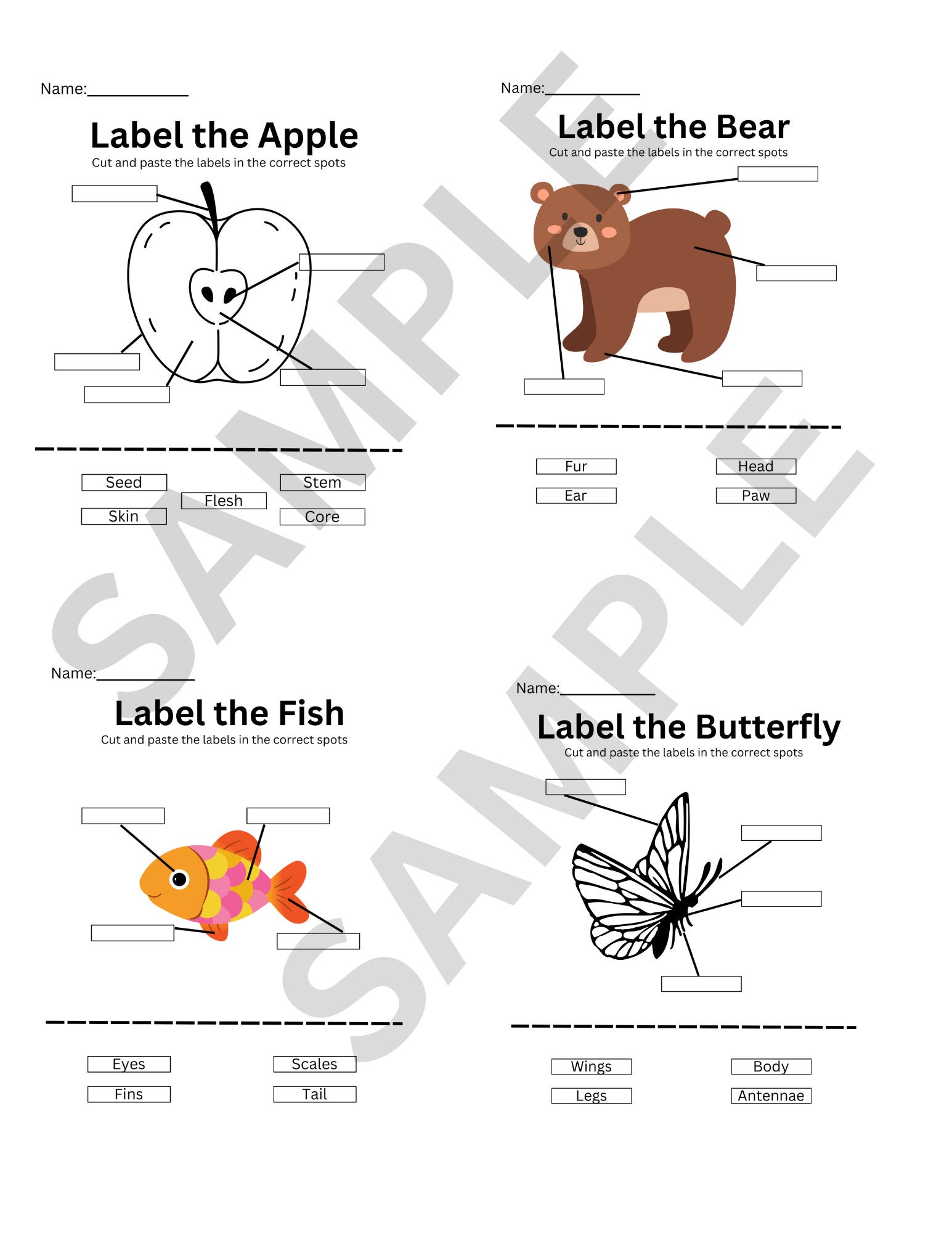 First Grade 1 Label the picture Bundle 25 Colored and B/W Animals ...