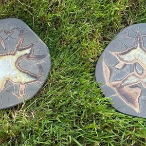 Septarian Slabs