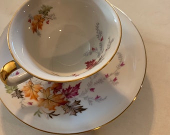 1950’s Chalfonte Porzellan “Indian Summer” tea cup and saucer