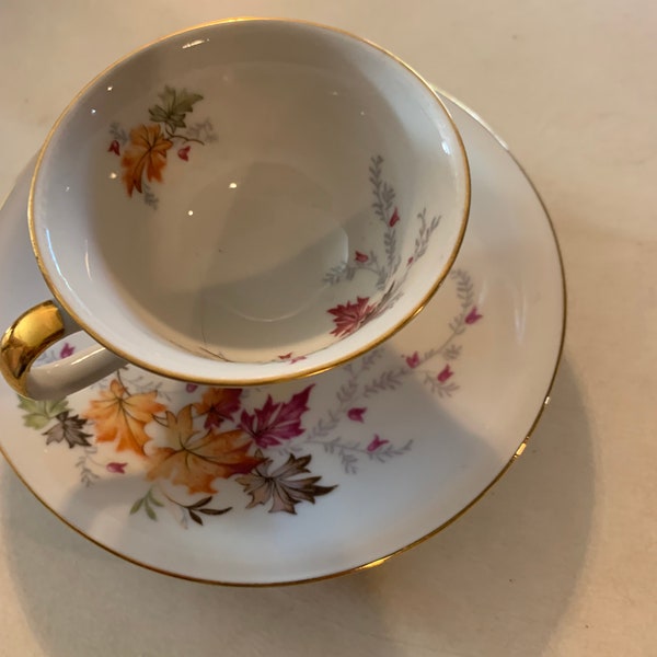 1950’s Chalfonte Porzellan “Indian Summer” tea cup and saucer