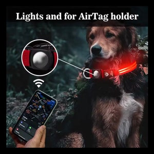 LED Dog Collar with Air Tag Holder, Fiber Optic Style