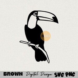 Toucan  SVG,PNG