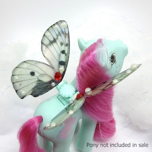 Bejewelled Iridescent Apollo Butterfly Wings