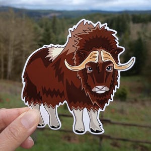 Muskox Vinyl Sticker - 4” Die Cut (Cartoon Style)