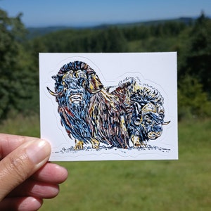 Muskox Vinyl Sticker - 3” (Muskoxen)