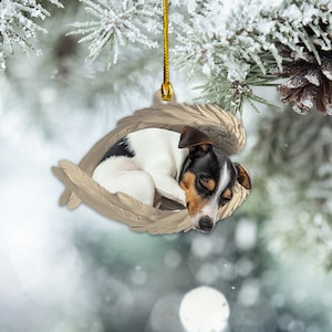 May include: A white and black dog with brown ears is sleeping inside a pair of angel wings. The wings are made of a light brown material and are attached to a gold string. The dog is curled up in a ball and has its eyes closed. The background is a blurry image of a snowy forest.