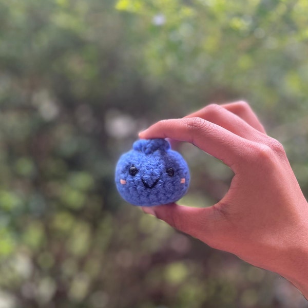 Mini Crochet Blueberry | Mini Blueberry Plush | Amigurumi