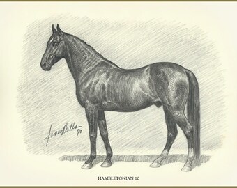 Standardbred Race Horse Art   Hambletonian   Ltd. Ed. Print - James Walls Horse Art