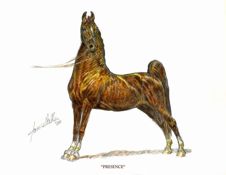 print Ed Ltd Saddlebred Horse Art James Walls Horse Art Presence