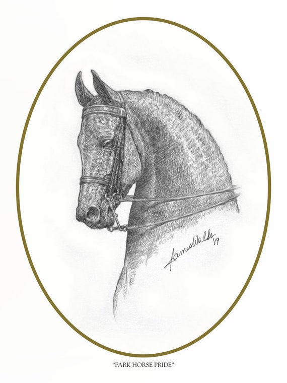 Horse Art Park Horse Pride Limited Etsy