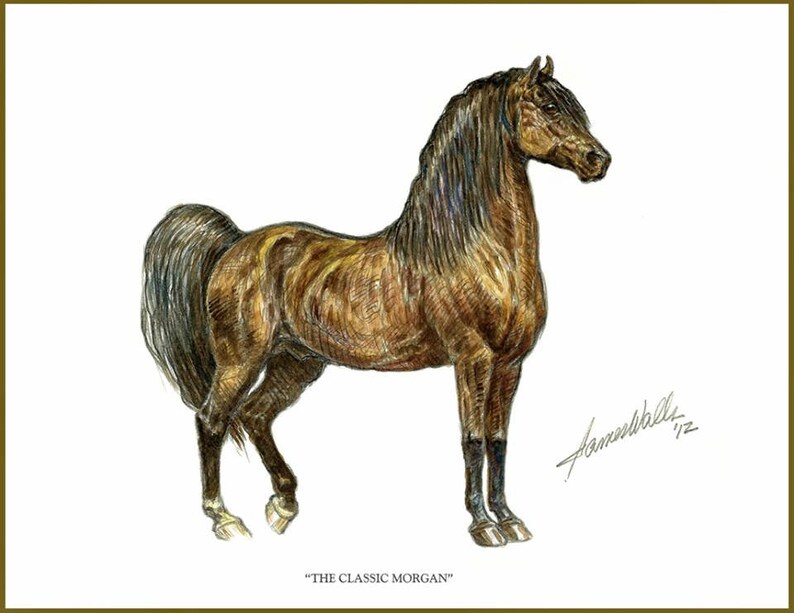 Horse Art The Classic Ltd. Ed. Print by Etsy