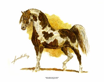 Saddlebred Horse Art -- "Harlequin" -- Ltd. Ed. Print by James Walls