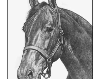 Standardbred Race Horse Art - Overtrick - Famous Standardbred Stallion -  Ltd. Ed. Print - James Walls Horse Art