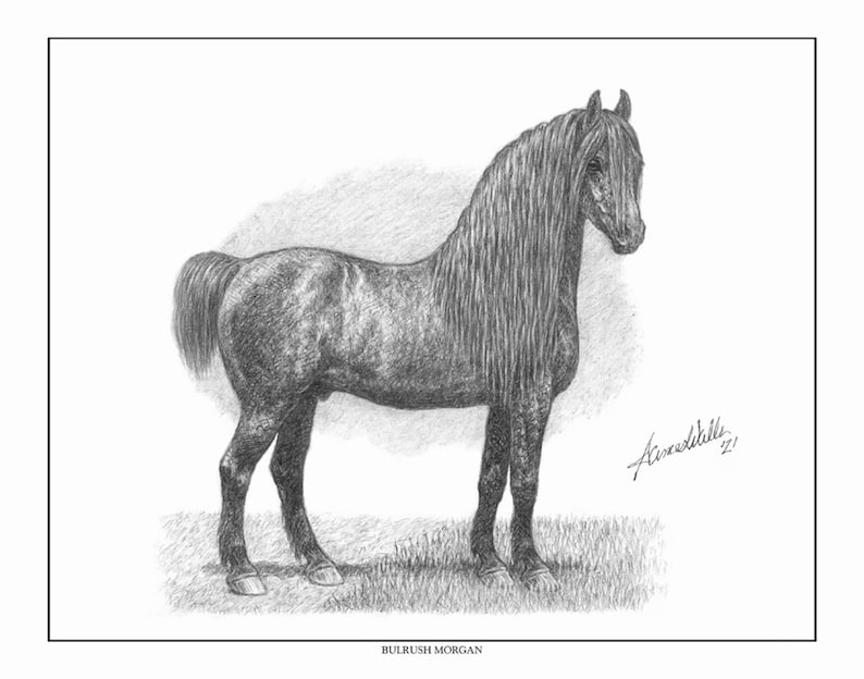 Horse Art the Justin Triumvirate 9 by 12 Three Ltd. Ed