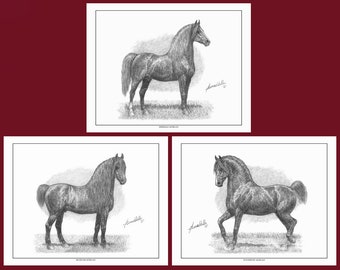 Morgan Horse Art - The Justin Morgan Triumvirate" - Three 11" by 14", Ltd Ed Prints by James Walls