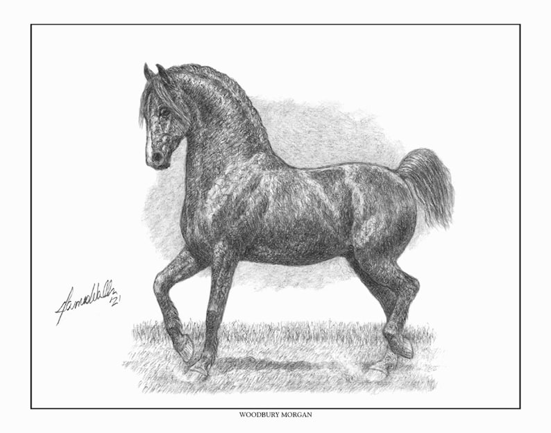 Horse Art the Justin Triumvirate 9 by 12 Three Ltd. Ed