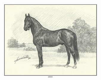 ADIOS -- Great Standardbred Race Horse & Sire - Ltd. Ed. Print by JAMES WALLS