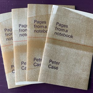 Pages d'un carnet de Peter Case