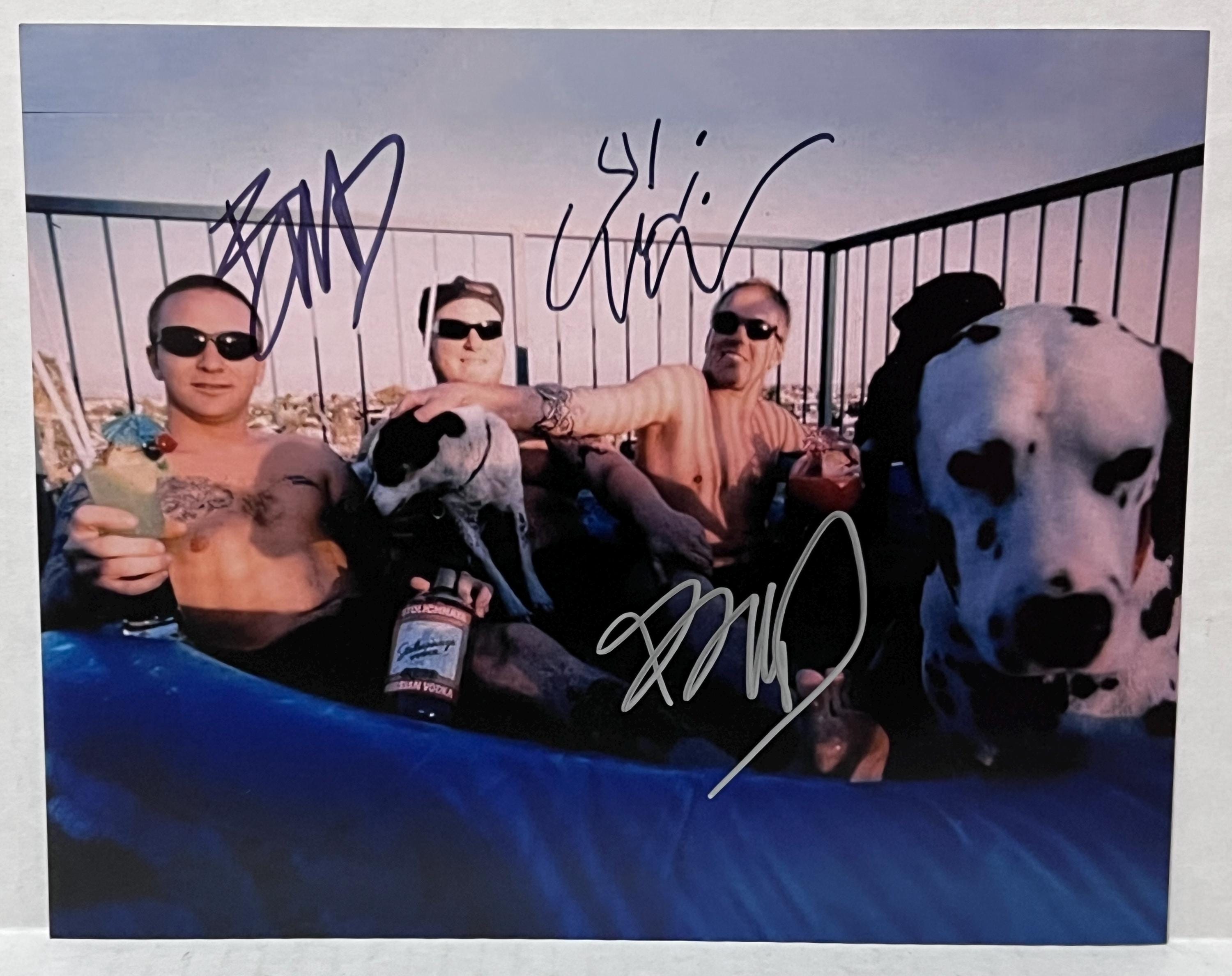Bradley Nowell Poster - Etsy