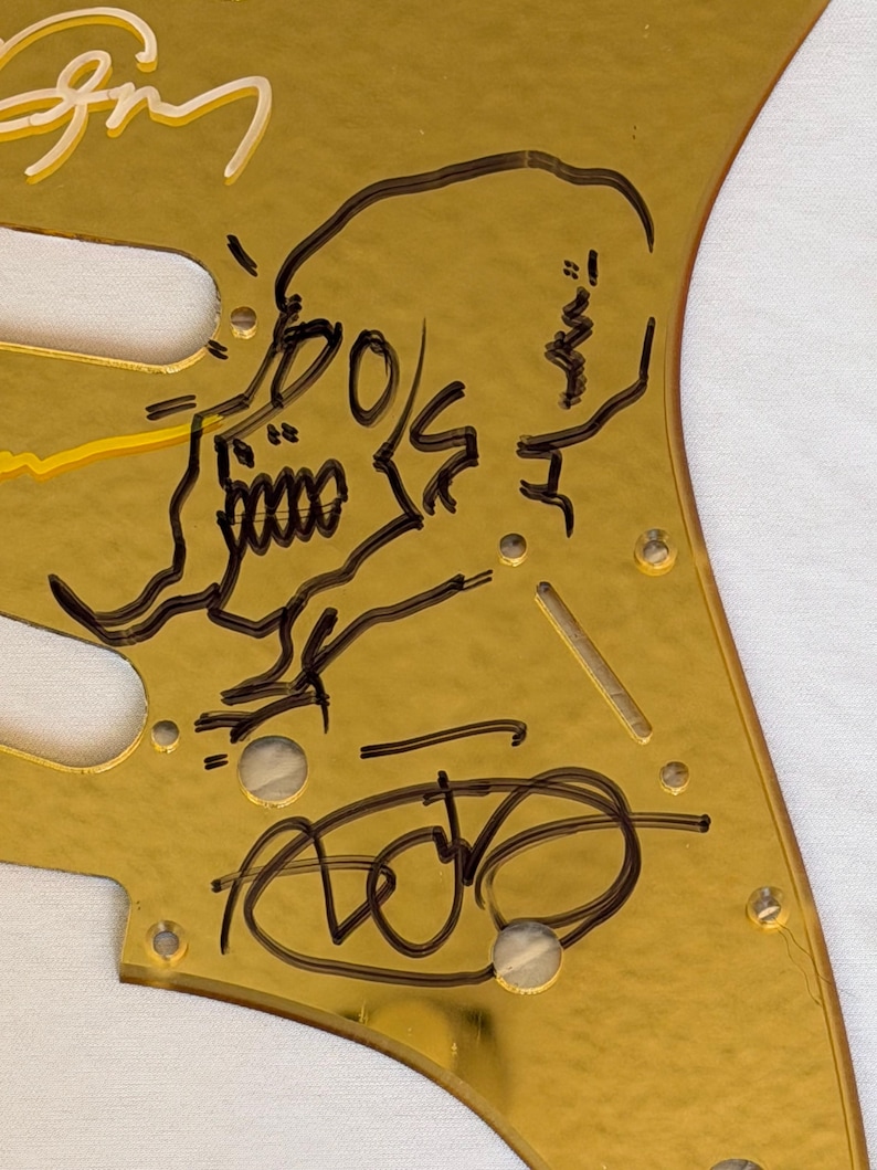May include: A gold-colored guitar pickguard featuring a black skull illustration and handwritten signatures. The pickguard has several screw holes and a cut-out for the guitar's pickups. The skull design is detailed with sharp lines and shading.