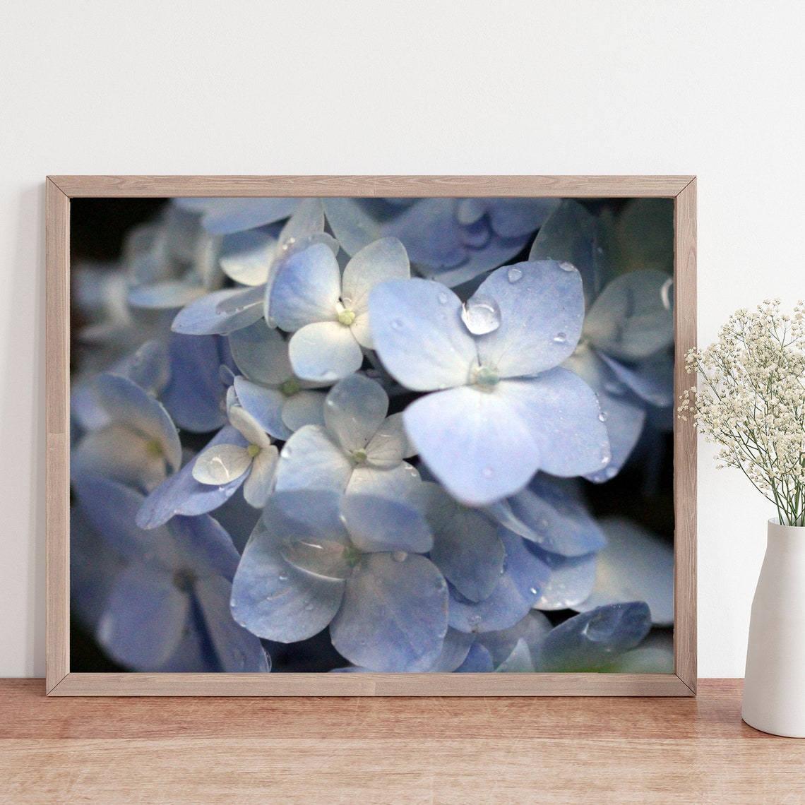 Blue Hydrangea Flower Photo, Light Blue Art, Flower Decor, Blue and ...