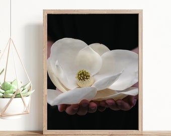 magnolia photo, flower print, photo, floral print, floral wall art, flower photo, flower wall art, botanical wall art, magnolia print