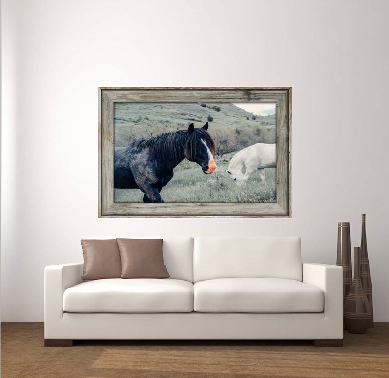 nature decor, wild horses, horse photo, horse wall art, horse photo, equine photo, western art, equestrian art, horse decor, horse gift image 3