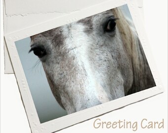 horse photo notecard, Father's Day card, greeting card, photo card, horse greeting card, horse stationary