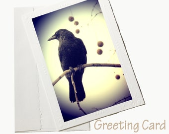 raven greeting card, raven stationary, bird greeting card, raven photo notecard, Halloween card, bird greeting card, gothic photo card