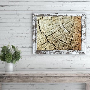 Tree Ring Art, Rustic Photo, Rustic Art, Rustic Decor, Natural Decor ...
