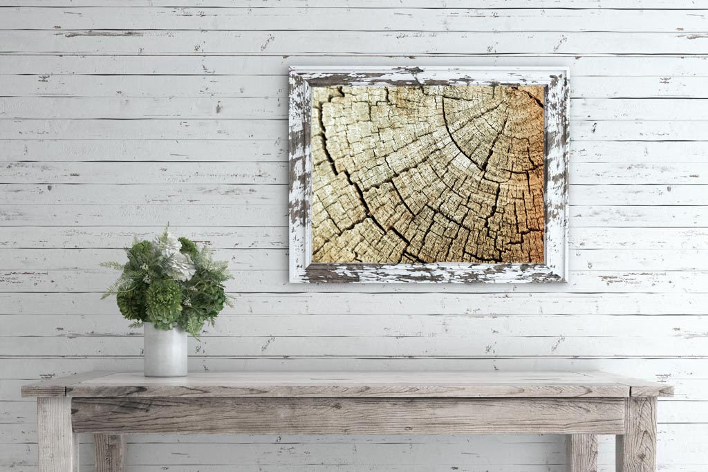Tree Ring Art, Rustic Photo, Rustic Art, Rustic Decor, Natural Decor ...