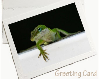 lizard note card, lizard stationary, lizard greeting card, lizard gift, green anole card, anole photo, anole gift, lizard photo, funny card