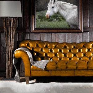 wild horse photo, horse wall art, horse photo, equine photo, western art, equestrian art, horse decor, horse lover gift, wild horses image 3