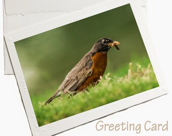 bird card, robin greeting card, robin stationary, bird card, bird greeting card, bird stationary, early bird card, bird watching card