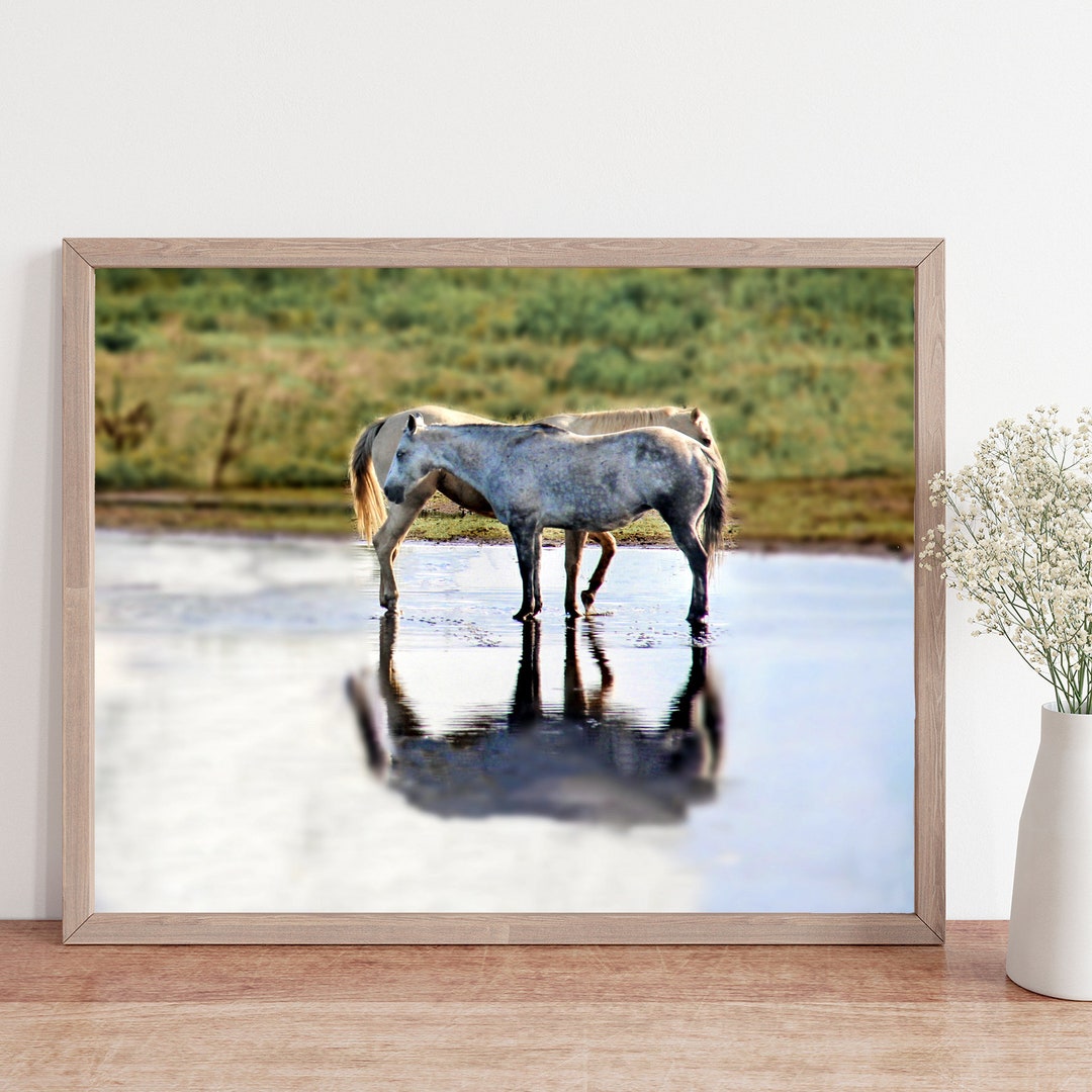 Equine Wall Art, Equestrian Gift, Cowboy Gift, Cowgirl Gift, Horse Art