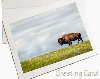 Bison card, bison greeting card, bison stationary, buffalo card, buffalo greeting card, buffalo stationary, Native American art, Indigenous