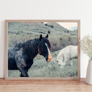 nature decor, wild horses, horse photo, horse wall art, horse photo, equine photo, western art, equestrian art, horse decor, horse gift image 1