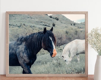 nature decor, wild horses, horse photo, horse wall art, horse photo, equine photo, western art, equestrian art, horse decor, horse gift