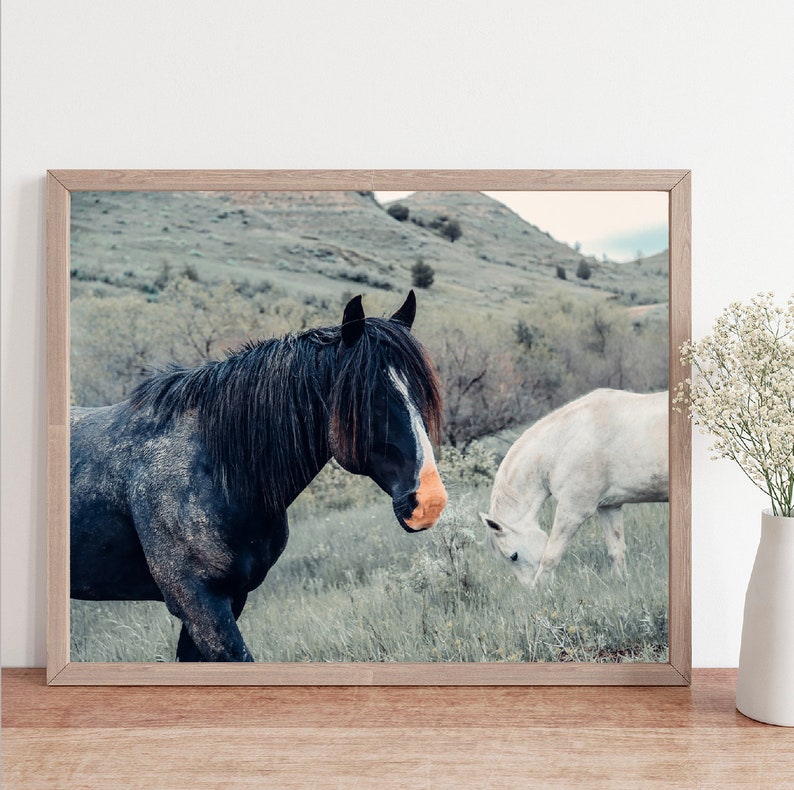 nature decor, wild horses, horse photo, horse wall art, horse photo, equine photo, western art, equestrian art, horse decor, horse gift image 1