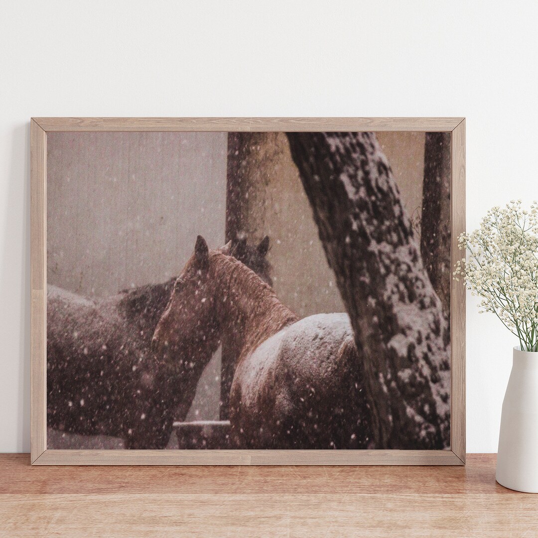 Horse Wall Art, Equestrian Wall Art, Equestrian Gift, Horse Lover Gift