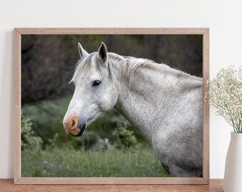 wild horse photo, horse wall art, horse photo, equine photo, western art, equestrian art, horse decor, horse lover gift, wild horses