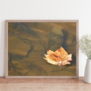 Leaf photo, golden wall art, minimal photo, Autumn Photo, leaf photo, leaf print, leaf wall art, Fall leaf decor, Fall wall art, nature art
