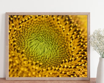 sunflower print, sunflower art, sunflower photo, sunflower wall art, summer art, summer decor, yellow wall art, yellow floral print