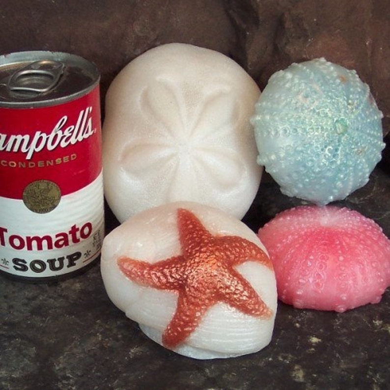 Sea Shell Soap Beach Soaps Decorative Bath Soap Gift Set - Etsy