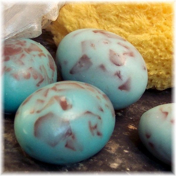 Robin's Egg Guest Soaps Speckled Set of Four Small or Set of 3 Large