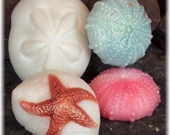 Sea Shell Soap, Beach Soaps, Decorative Bath Soap Gift Set, Set of 4 Soaps