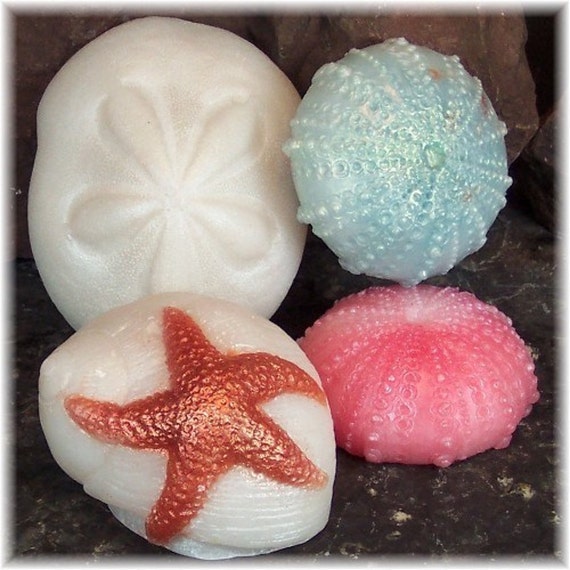 Sea Shell Soap Beach Soaps Decorative Bath Soap Gift Set Etsy